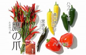 【夢のような食材ダイエット♪】食べるだけで痩せるカプサイシンって何!?