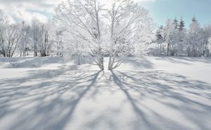 厳冬の雪山で自然の存在感に圧倒される～寒さと戯れて冬を遊ぶ～