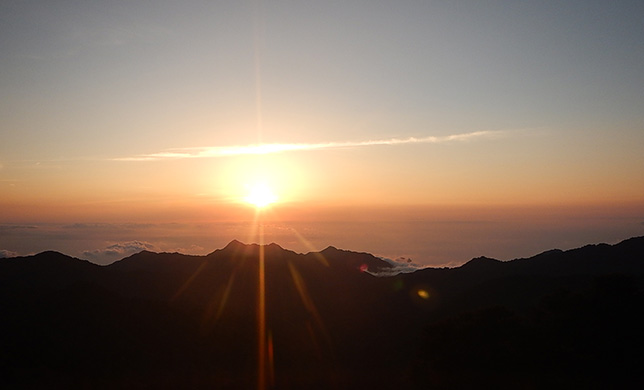 屋久島の森から眺める日の出