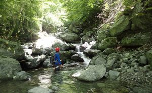 自らの感覚を研ぎ澄まし人の踏跡無き原生の森へ【沢登り＆源流釣行】