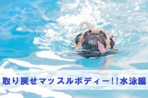 水泳は有酸素運動の王様!?【取り戻せマッスルボディー!!体力編②】