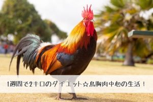 【鳥胸肉ダイエット】おいしい鳥胸肉を食べて1週間で2キロも痩せた!!