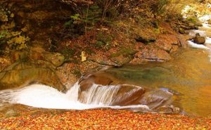 【山梨県・西沢渓谷】紅葉ハイキング～絶景温泉～郷土料理で秋を満喫！