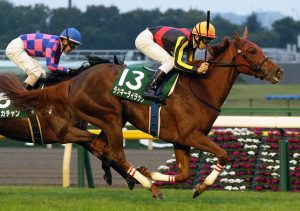 【新種牡馬オルフェーヴル産駒を応援！③】最注目馬『ラッキーライラック』編