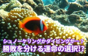 綺麗な海を満喫!【ロケットマンの有給休暇～沖縄への帰郷編3日目～】