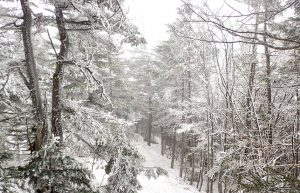 【雪山で戯れる】長野で登山・スキー・温泉・食事のフルコースを堪能♪