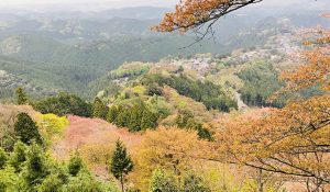 【花見？】一目千本の桜が咲き乱れているはずの奈良・吉野へハイキング