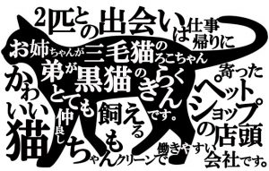 【うちの猫ちゃん紹介!!】会社帰りのペットショップで運命の出会い!?