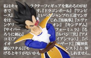 【私の収集癖☆】知れば知るほどハマるキャラクターフィギュアの世界