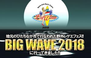 【平成最後のBIG WAVE!!】最初から最後までテンションMAXで踊ってきました♪