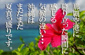 【有給休暇を活用して沖縄帰省①】スロ休業!!ロケットマンの南国物語