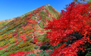 【谷川岳で紅葉ハイキング】岩壁と紅葉のコントラストが美しい雄大な風景を一望