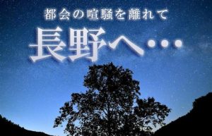 【癒しを求めて…②】日本一の星空への期待を胸に、美味い馬肉で舌鼓！