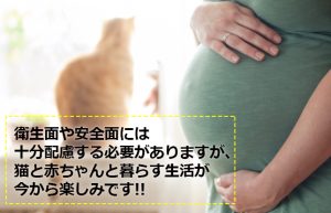 【臨月になりました】ベビーベットも組み立てお迎え準備万端です!!