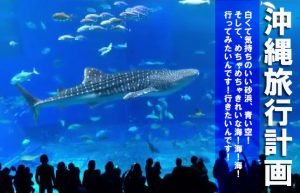 【絶対に行くぞ！沖縄旅行計画始動!!】その前にまずは痩せなきゃ…!!