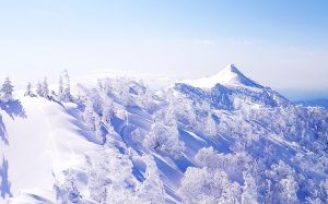 【八ヶ岳/上州武尊山/四阿山】東京から気軽に行ける雪遊びスポット紹介