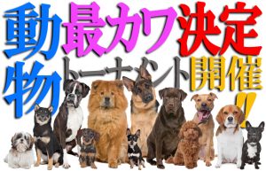 【犬よりカワイイ動物はいるのか？】グーグル先生を頼りに探してみた