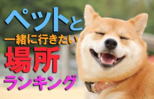 【ペットと楽しむアミューズメント】犬同伴で行きたいお出かけスポット