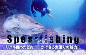 【夏の遊び第1弾＠素潜り】美しい海を泳ぐ魚に狙いを定めてハンティング！