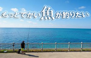 【釣りにハマってます】ヒットした瞬間や釣れた時の喜びはホントに最高!!