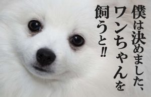 【五反田1年生(*^^)vPART12】秋って寂しいからペットが飼いたい!!