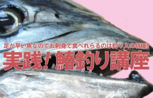 【スポーツフィッシング④】サバ科の大型高級魚・鰆（サワラ）釣りのポイントを解説