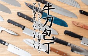 【キムタクの影響⁉】本格的に料理にハマってマイ包丁が欲しすぎる‼