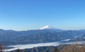 【令和最初の初詣】大人気の奥高尾縦走路「陣馬山」→「高尾山」から薬王院へ