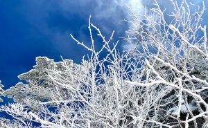 【東京から日帰り雪山ハイキング】標高2,500m前後の初心者向けルートをご紹介